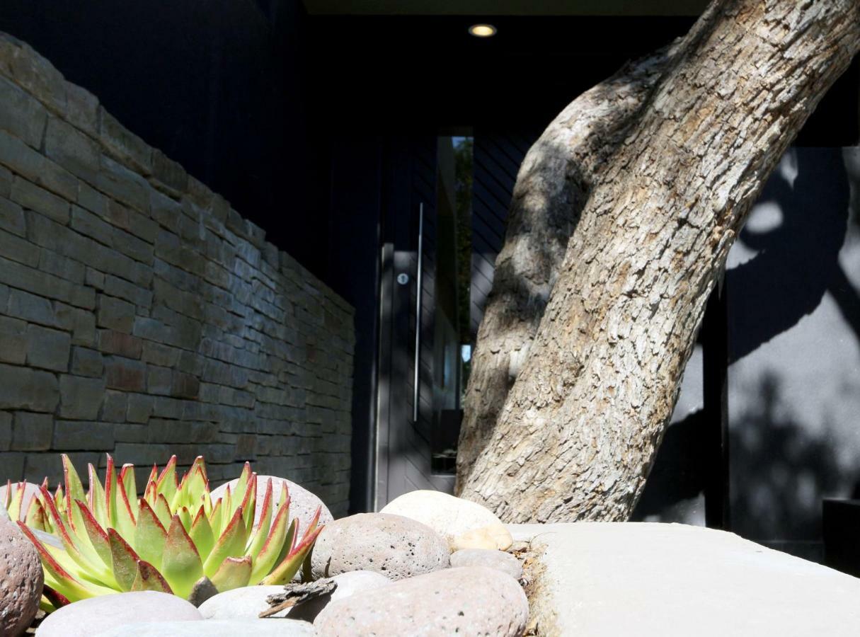 Herzinger Boutique Guesthouse Klein Windhoek Kültér fotó